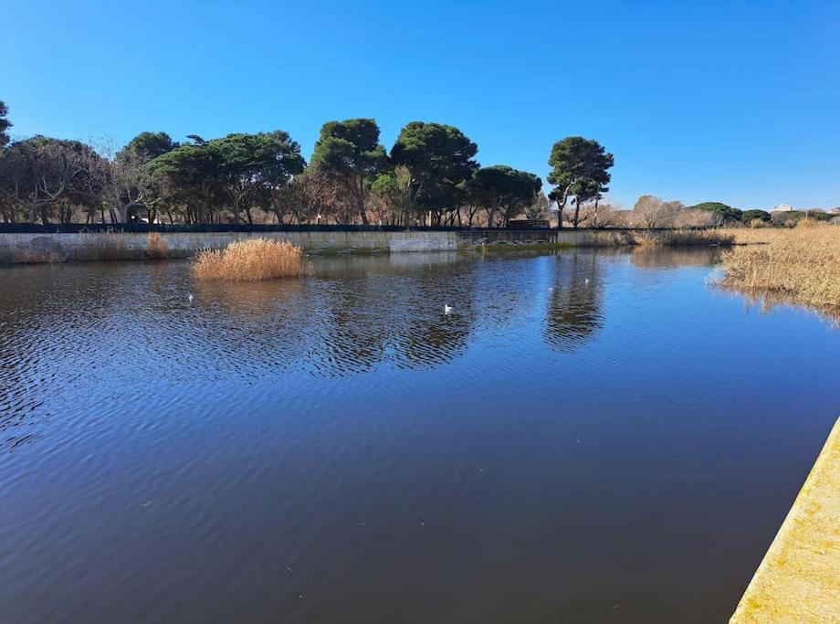 Apartamento A 50 Metros De La Playa. Platja d'Aro Luaran gambar
